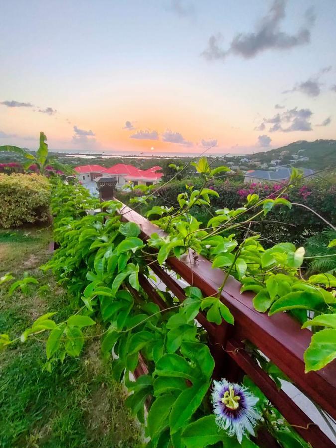 Holiday Home Belvedere Dickenson Bay Exterior photo